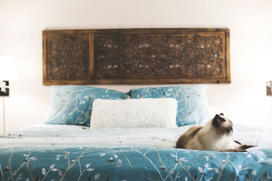 Summer Sleep Tips: How to Choose a Cooling Bed Setup for Hot Nights