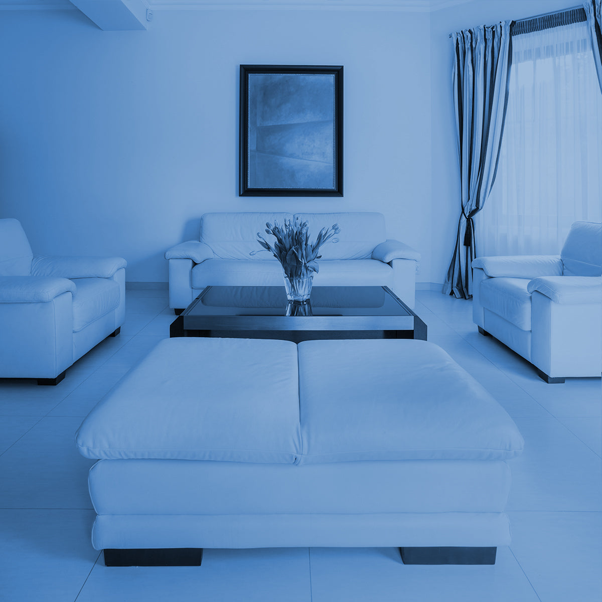 Sofa Sets